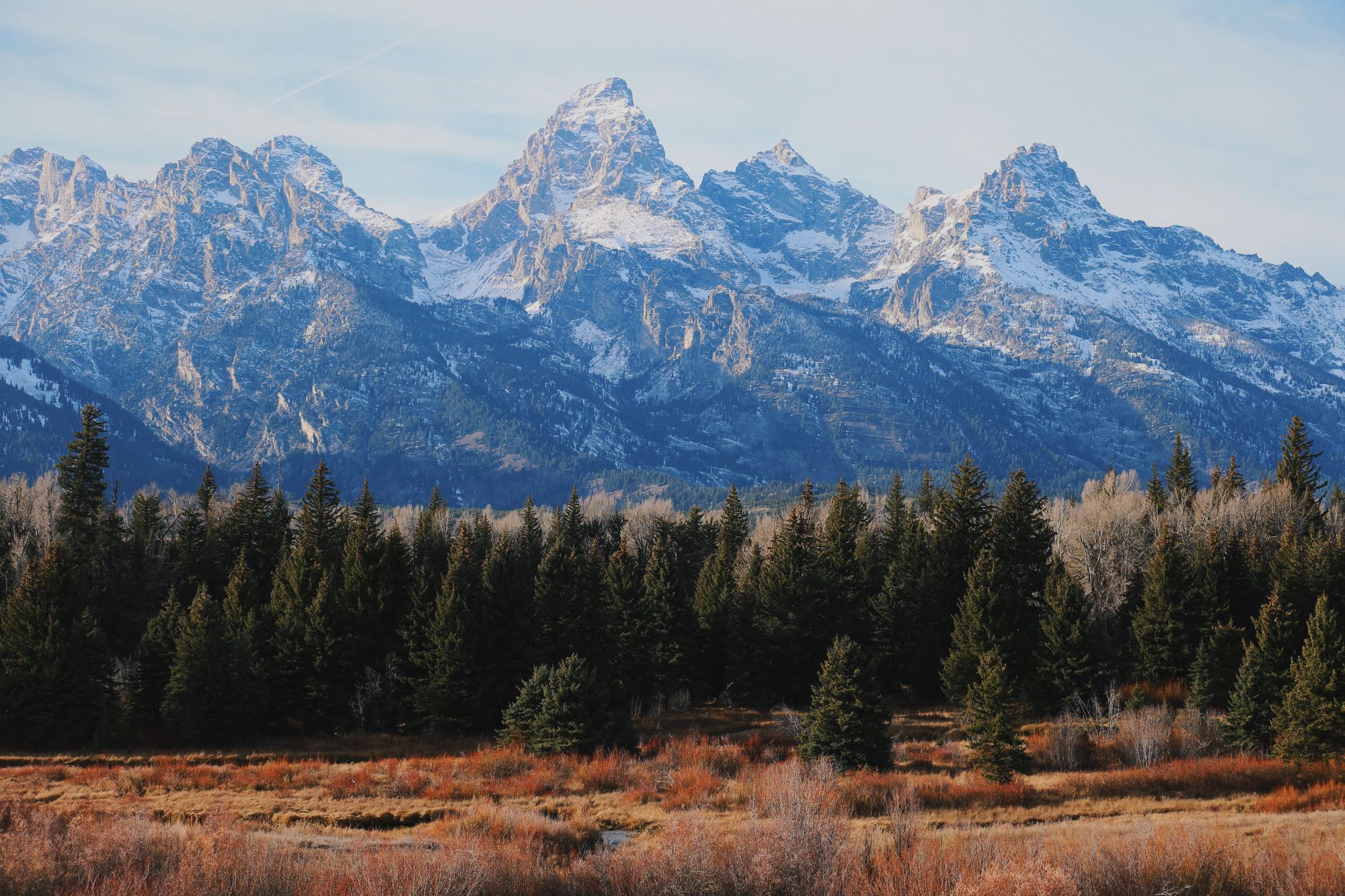 Schneebedeckte Teton-Berge über Nadelwald und Herbstwiese in Wyoming